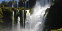 1333_full_21.jpg