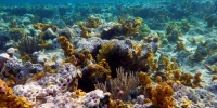 1089_full_0.jpg