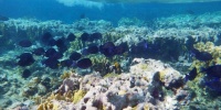 1089_full_8.jpg