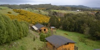 1287_full_5.jpg