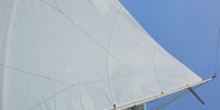 1069_full_3.jpg