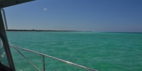1069_full_16.jpg