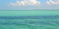 1069_full_17.jpg