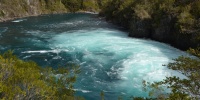 1285_full_5.jpg