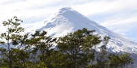 1285_full_8.jpg