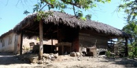 1067_full_3.jpg