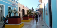 1065_full_5.jpg