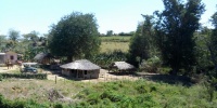 1063_full_19.jpg
