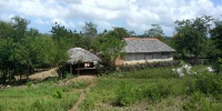 1063_full_31.jpg