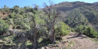 1277_full_3.jpg