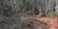 1073_full_1.jpg