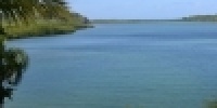 1073_full_5.jpg