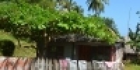 1073_full_8.jpg