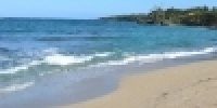 1073_full_13.jpg