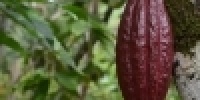 1075_full_4.jpg