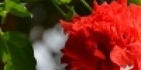 1075_full_5.jpg
