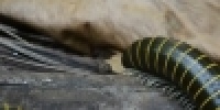 1075_full_6.jpg