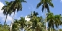 1075_full_12.jpg