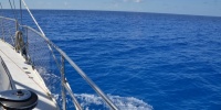 1143_full_13.jpg