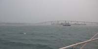 1141_full_8.jpg