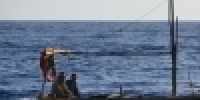 1081_full_1.jpg