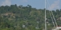 1081_full_3.jpg