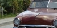 1081_full_21.jpg
