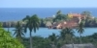 1081_full_31.jpg