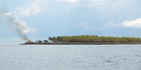1135_full_2.jpg