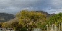 1083_full_7.jpg
