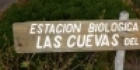 1083_full_9.jpg