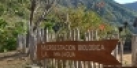 1083_full_11.jpg