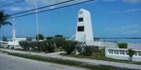 1135_full_8.jpg