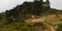1083_full_15.jpg