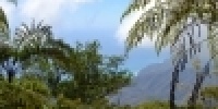 1083_full_16.jpg