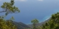 1083_full_17.jpg