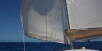 1101_full_0.jpg