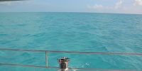 1101_full_7.jpg