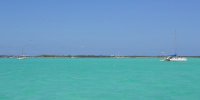 1093_full_7.jpg