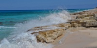 1091_full_8.jpg