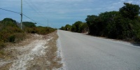 1087_full_5.jpg