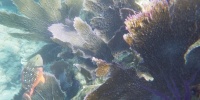 1121_full_7.jpg
