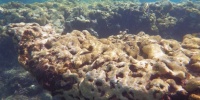 1121_full_8.jpg