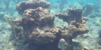 1121_full_9.jpg