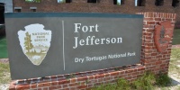 1119_full_0.jpg