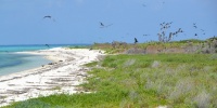 1119_full_19.jpg