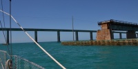 1115_full_0.jpg