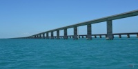 1115_full_7.jpg