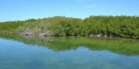 1111_full_1.jpg