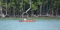 1105_full_6.jpg